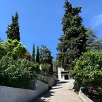 Fior Di Ribba Sartene (Corsica)