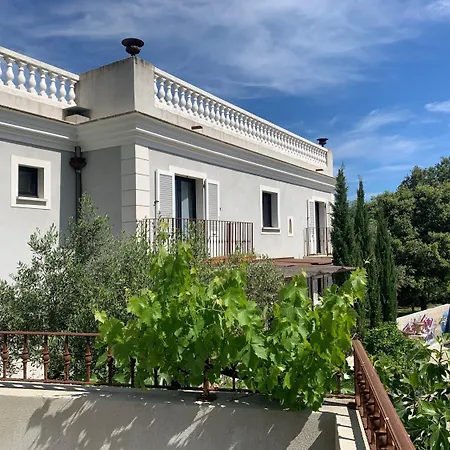 Fior Di Ribba Sartène