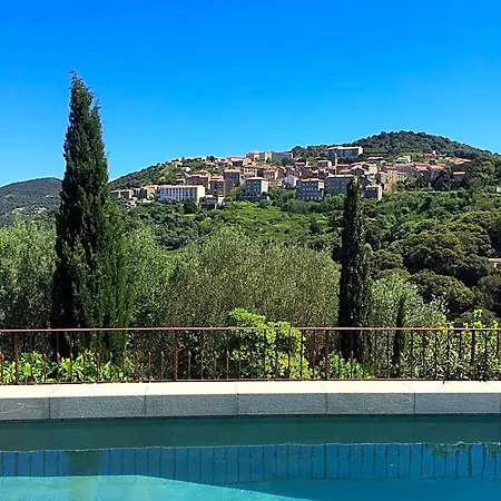 Fior Di Ribba Sartene (Corsica)