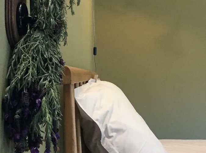 公寓式酒店 Fior Di Ribba 4*